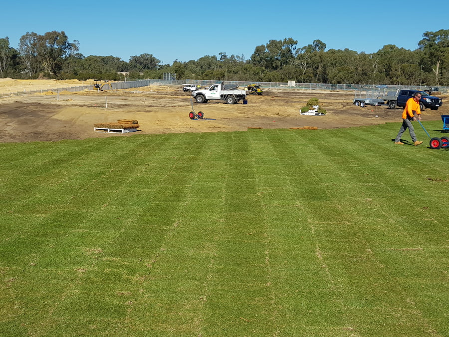 Commercial Lawn Installation 6